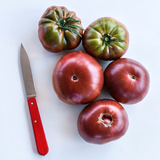 Tomato True Beefsteak or Fejee Improved