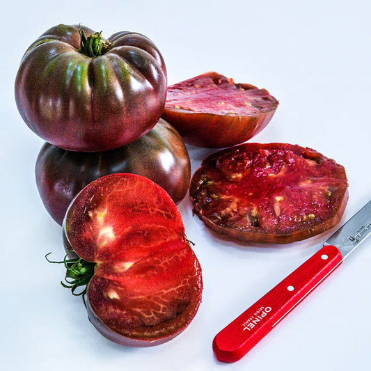 TOMATO, TRUE BLACK BRANDYWIN