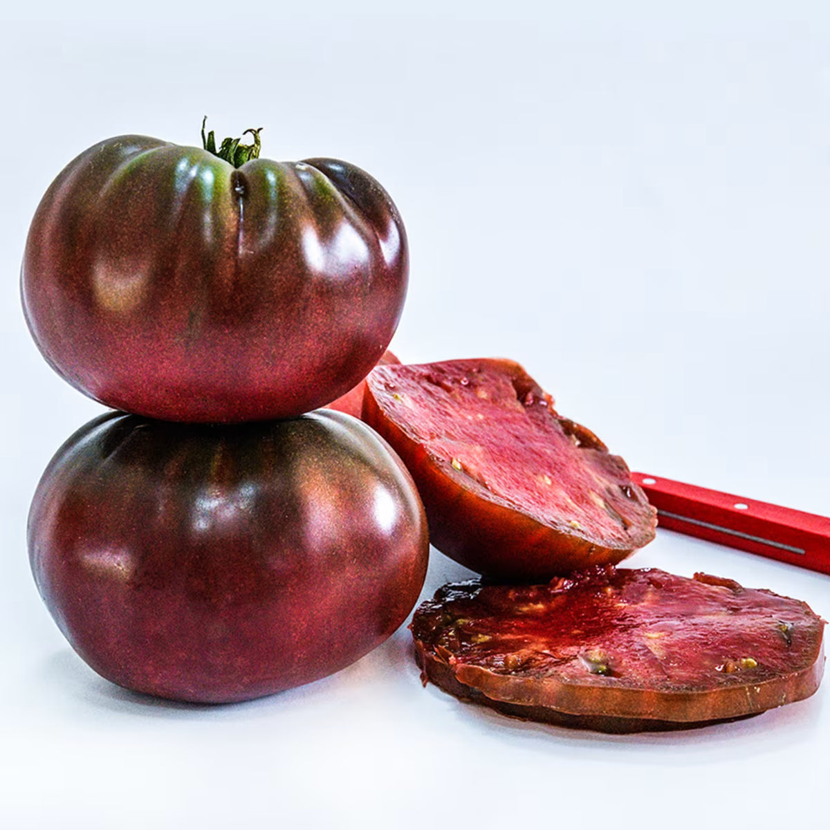 TOMATO, TRUE BLACK BRANDYWIN