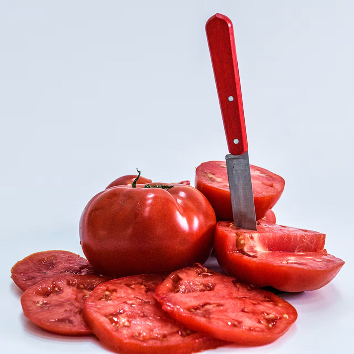TOMATO WOOD'S FAMOUS BRIMMER