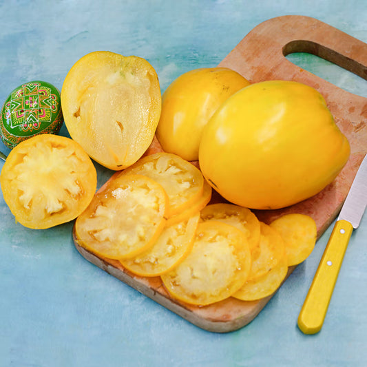 TOMATO GOLDEN KING OF SIBERIA