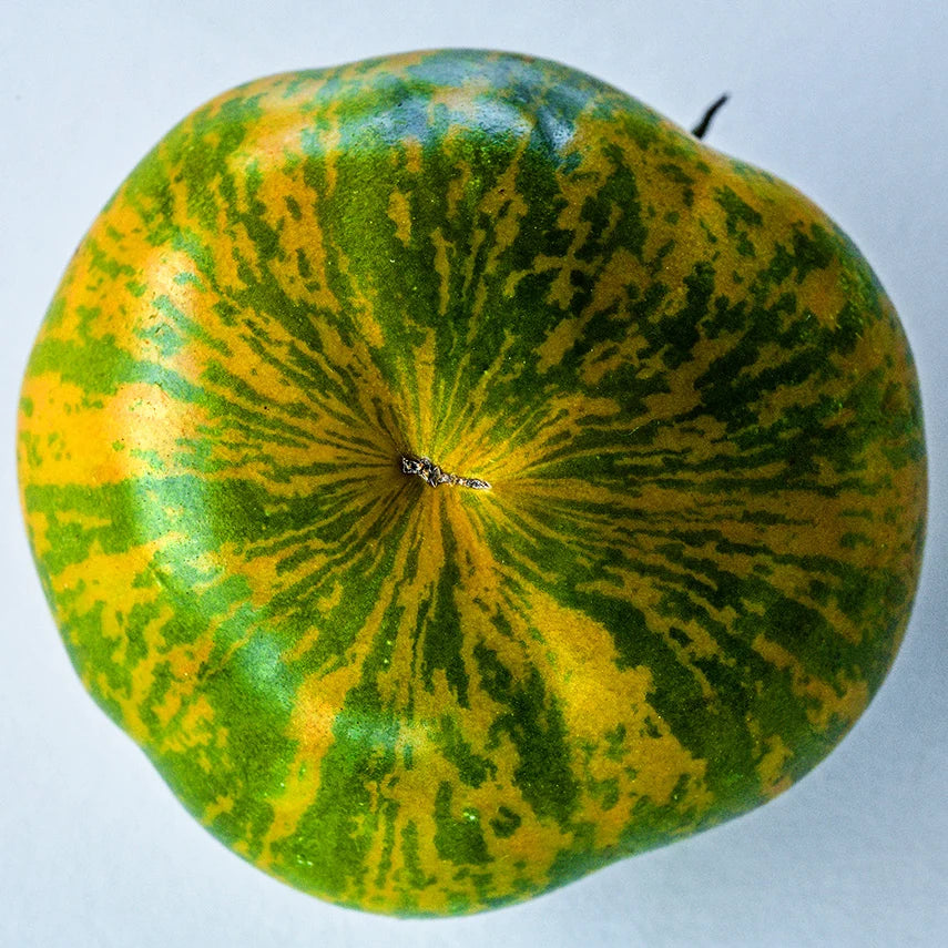 TOMATO GREEN ZEBRA