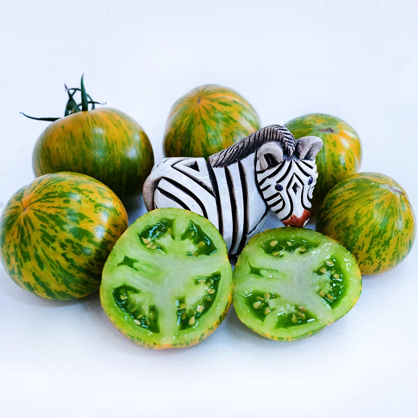 TOMATO GREEN ZEBRA