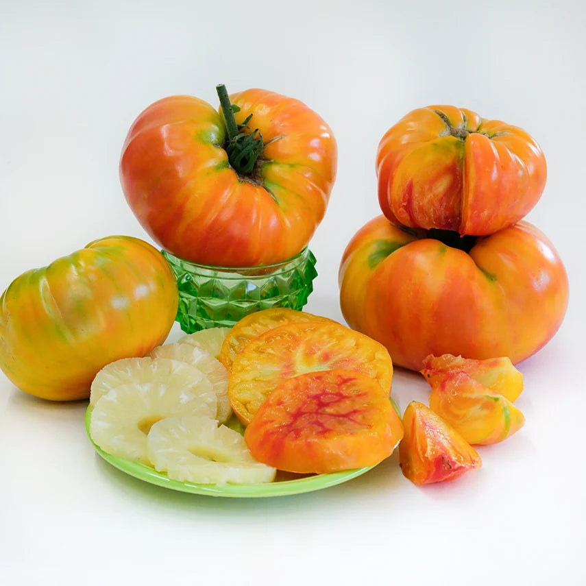 TOMATO PINEAPPLE