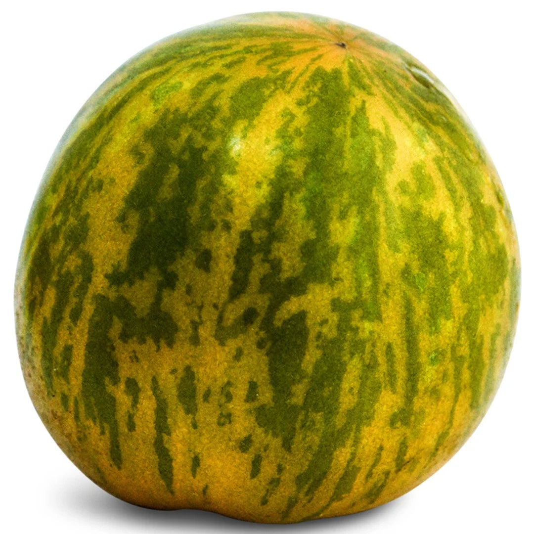 TOMATO GREEN ZEBRA