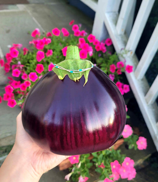 Eggplant  Aswad