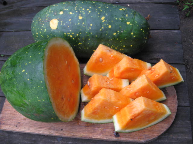 watermelon Moon and yellow Flesh